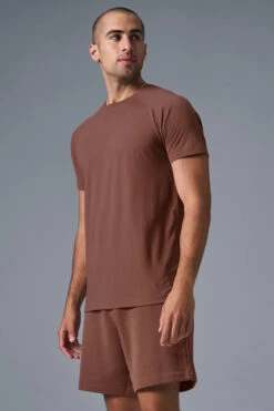 Triumph Raglan Tee - Chestnut -ALO ACTIVEWEAR SALE M1133R 03500 b1 s1 a3 1 m180