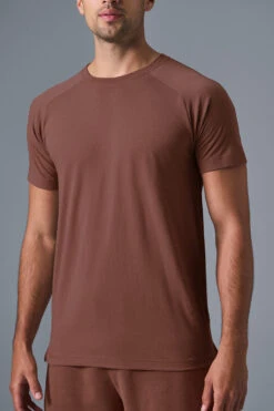 Triumph Raglan Tee - Chestnut -ALO ACTIVEWEAR SALE M1133R 03500 b1 s1 a4 1 m180