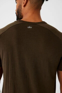 Triumph Raglan Tee - Espresso -ALO ACTIVEWEAR SALE M1133R 04064 b1 s3 a4 1 m93