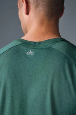 Triumph Raglan Tee - Winter Ivy -ALO ACTIVEWEAR SALE M1133R 05819 b1 s1 a5 1 m180
