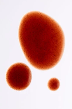 Immunity Rescue Shot - 10 Pack -ALO ACTIVEWEAR SALE N1008M 00 b1 a2