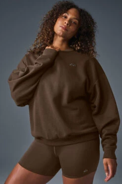 Accolade Crew Neck Pullover - Espresso -ALO ACTIVEWEAR SALE U3031RG 04064 b1 s1 a1 1 m182