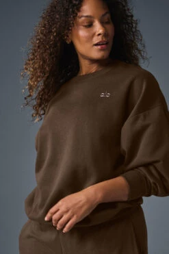 Accolade Crew Neck Pullover - Espresso -ALO ACTIVEWEAR SALE U3031RG 04064 b1 s1 a3 1 m182